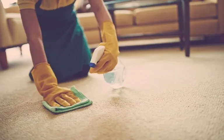 Carpet & Rug Cleaning - illustrative photograph